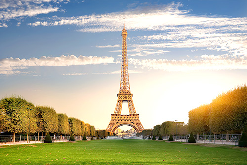 Tour Eiffel et pelouse